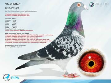 https://upforme.ru/uploads/0012/5a/ef/9/t146790.jpg