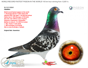 https://upforme.ru/uploads/0012/5a/ef/9/t287834.png