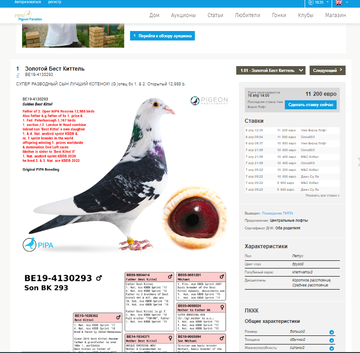 https://upforme.ru/uploads/0012/5a/ef/9/t294714.png