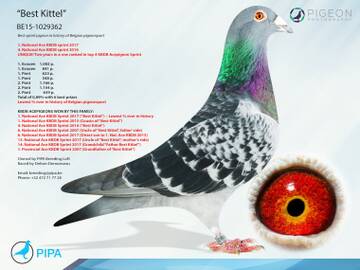 https://upforme.ru/uploads/0012/5a/ef/9/t317646.jpg
