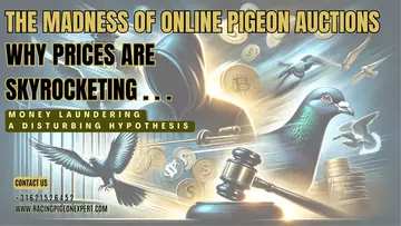 https://upforme.ru/uploads/0012/5a/ef/9/t373308.webp