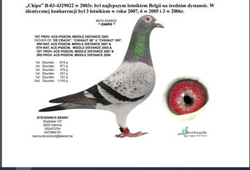 https://upforme.ru/uploads/0012/5a/ef/9/t416962.png