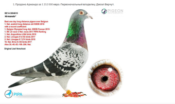 https://upforme.ru/uploads/0012/5a/ef/9/t450130.png