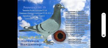 https://upforme.ru/uploads/0012/5a/ef/9/t495446.jpg