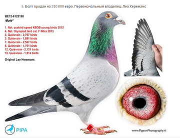 https://upforme.ru/uploads/0012/5a/ef/9/t504330.png