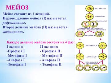 https://upforme.ru/uploads/0012/5a/ef/9/t514212.jpg