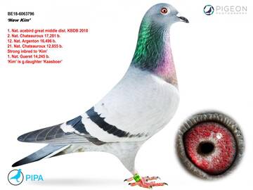 https://upforme.ru/uploads/0012/5a/ef/9/t540747.jpg