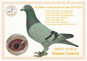 https://upforme.ru/uploads/0012/5a/ef/9/t548266.jpg