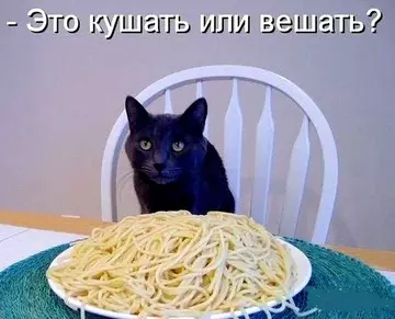 https://upforme.ru/uploads/0012/5a/ef/9/t663849.webp