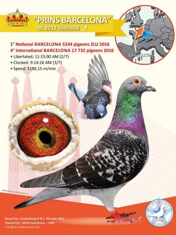 https://upforme.ru/uploads/0012/5a/ef/9/t843595.jpg