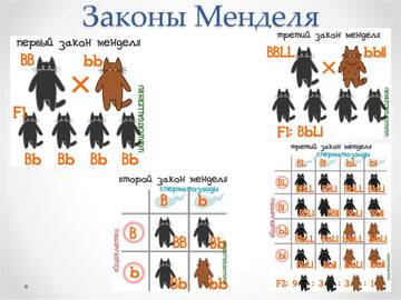 https://upforme.ru/uploads/0012/5a/ef/9/t891294.jpg