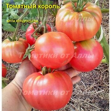 https://upforme.ru/uploads/0012/5d/99/3/t596570.jpg