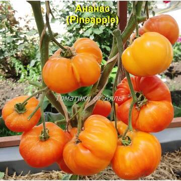 https://upforme.ru/uploads/0012/5d/99/3/t689593.jpg