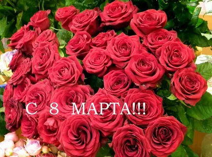 https://upforme.ru/uploads/0012/6e/7d/1211/539155.webp