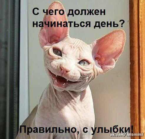 https://upforme.ru/uploads/0012/6e/7d/1844/121685.jpg