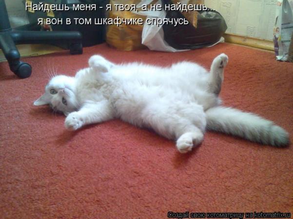 https://upforme.ru/uploads/0012/6e/7d/1844/124972.jpg