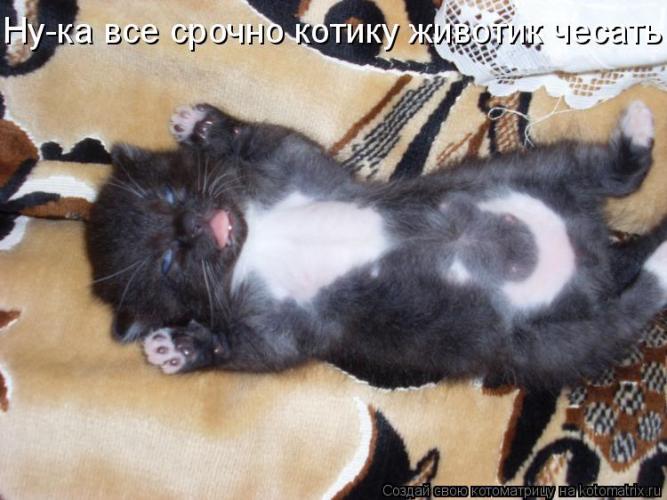 https://upforme.ru/uploads/0012/6e/7d/1844/127637.jpg