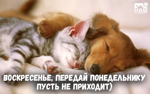 https://upforme.ru/uploads/0012/6e/7d/1844/128812.jpg