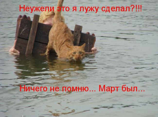 https://upforme.ru/uploads/0012/6e/7d/1844/136824.jpg