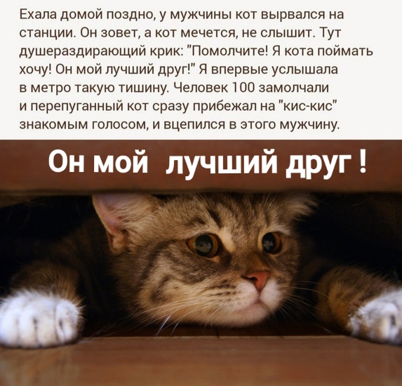 https://upforme.ru/uploads/0012/6e/7d/1844/145395.jpg