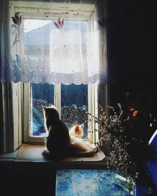 https://upforme.ru/uploads/0012/6e/7d/1844/148999.jpg