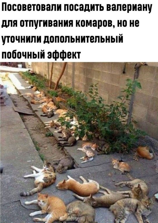 https://upforme.ru/uploads/0012/6e/7d/1844/151642.jpg