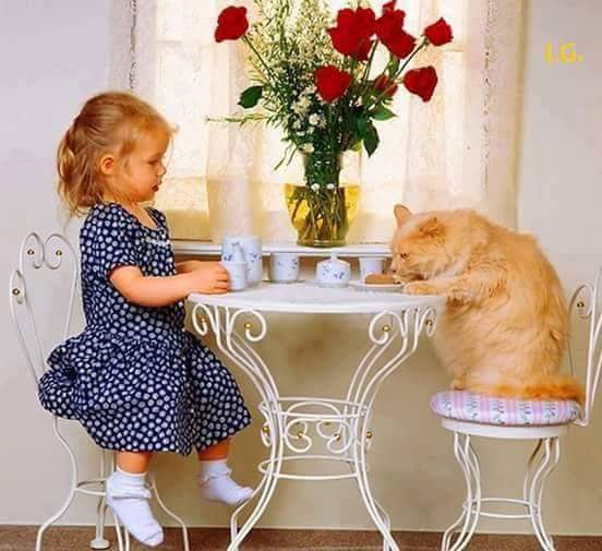 https://upforme.ru/uploads/0012/6e/7d/1844/154614.jpg