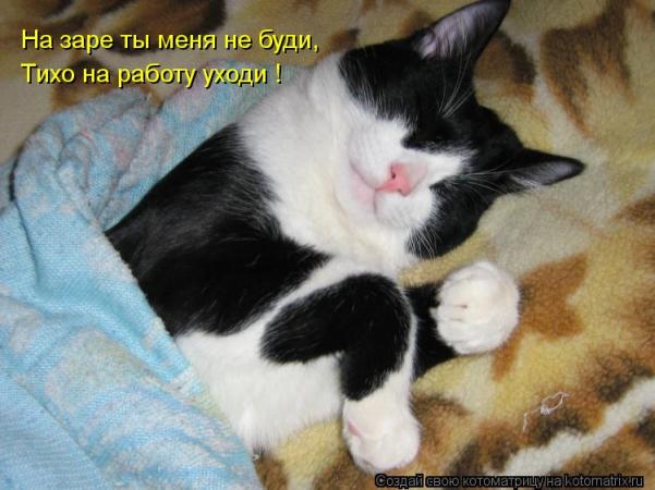 https://upforme.ru/uploads/0012/6e/7d/1844/15502.jpg