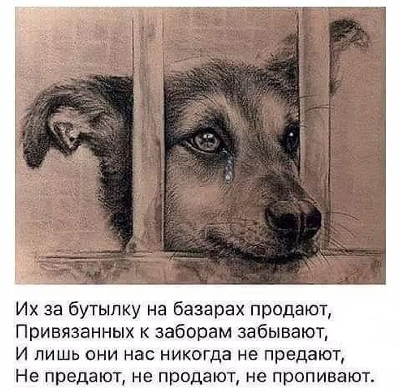 https://upforme.ru/uploads/0012/6e/7d/1844/164716.jpg