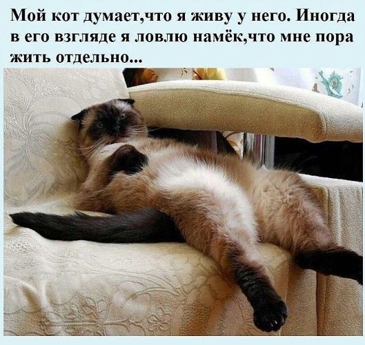 https://upforme.ru/uploads/0012/6e/7d/1844/179274.jpg