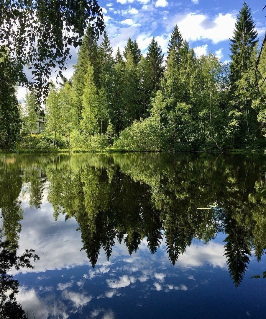 https://upforme.ru/uploads/0012/6e/7d/1844/189099.jpg