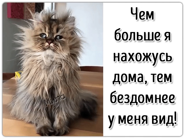 https://upforme.ru/uploads/0012/6e/7d/1844/190206.jpg
