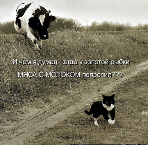 https://upforme.ru/uploads/0012/6e/7d/1844/201223.jpg