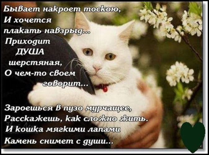 https://upforme.ru/uploads/0012/6e/7d/1844/21411.jpg