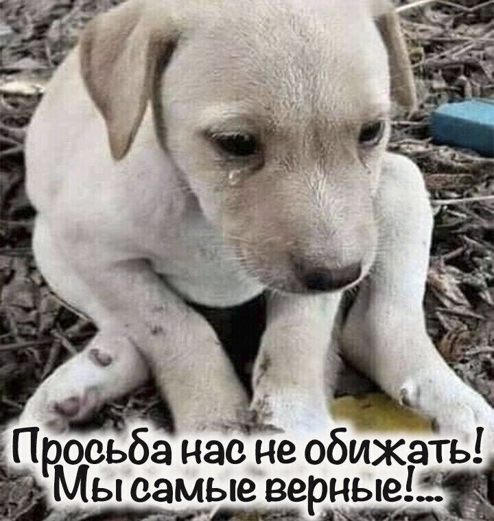 https://upforme.ru/uploads/0012/6e/7d/1844/215276.jpg