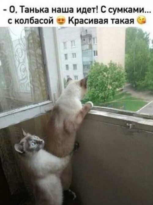 https://upforme.ru/uploads/0012/6e/7d/1844/218887.jpg