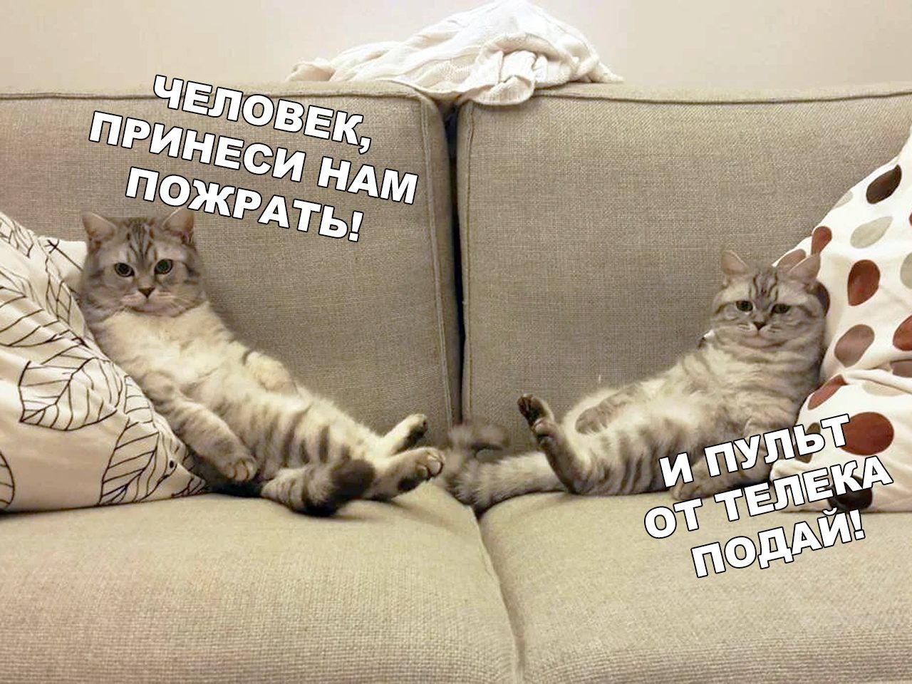 https://upforme.ru/uploads/0012/6e/7d/1844/22486.jpg
