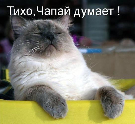 https://upforme.ru/uploads/0012/6e/7d/1844/227355.jpg
