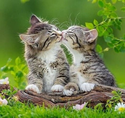 https://upforme.ru/uploads/0012/6e/7d/1844/23000.jpg