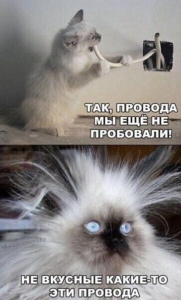 https://upforme.ru/uploads/0012/6e/7d/1844/230129.jpg