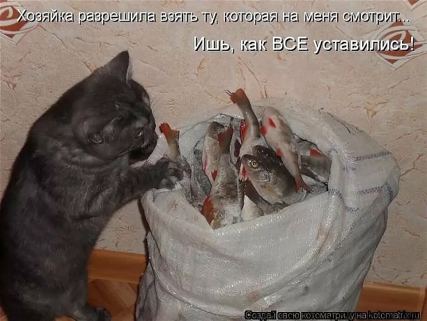 https://upforme.ru/uploads/0012/6e/7d/1844/231562.jpg