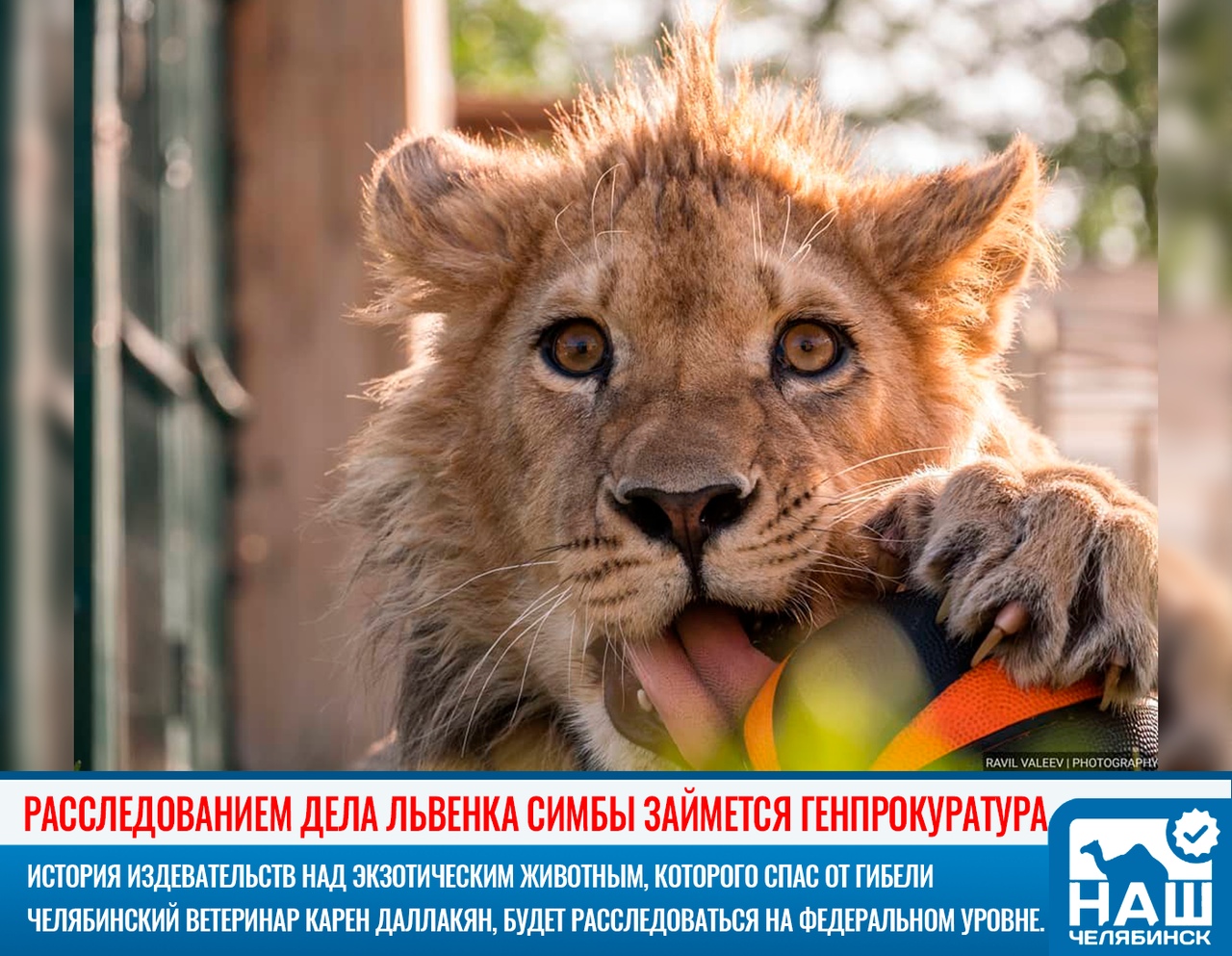 https://upforme.ru/uploads/0012/6e/7d/1844/232664.jpg