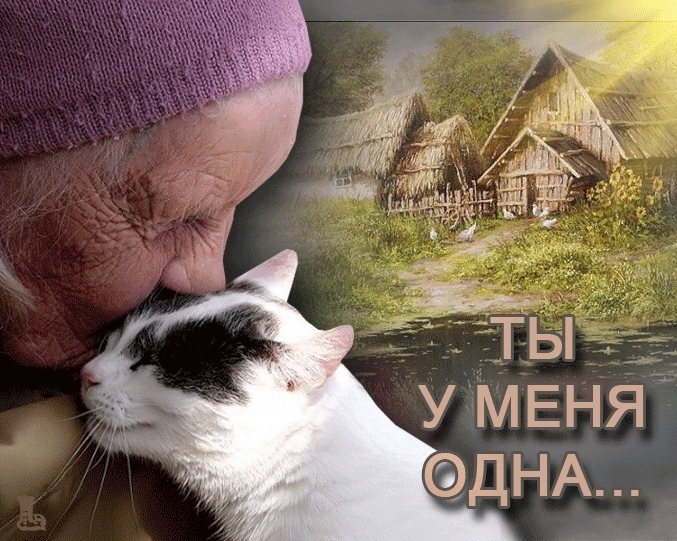 https://upforme.ru/uploads/0012/6e/7d/1844/238465.jpg