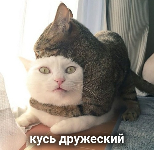 https://upforme.ru/uploads/0012/6e/7d/1844/239060.jpg