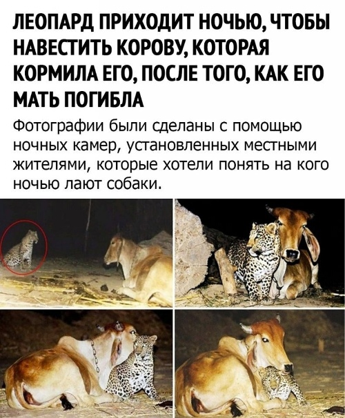 https://upforme.ru/uploads/0012/6e/7d/1844/24985.jpg