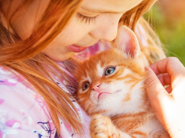 https://upforme.ru/uploads/0012/6e/7d/1844/250590.jpg