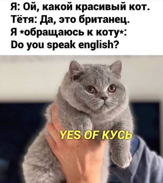https://upforme.ru/uploads/0012/6e/7d/1844/261529.jpg