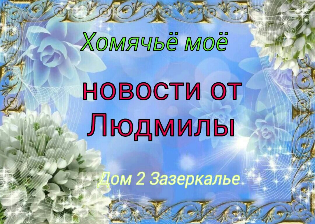https://upforme.ru/uploads/0012/6e/7d/1844/26202.jpg