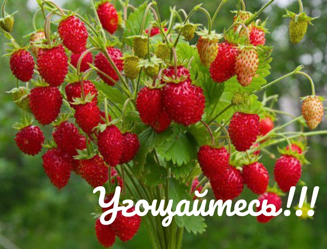 https://upforme.ru/uploads/0012/6e/7d/1844/263446.jpg