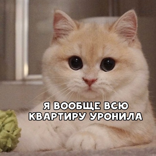 https://upforme.ru/uploads/0012/6e/7d/1844/265358.jpg